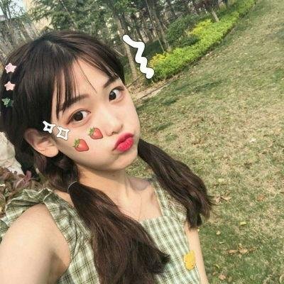 狐狸捕手